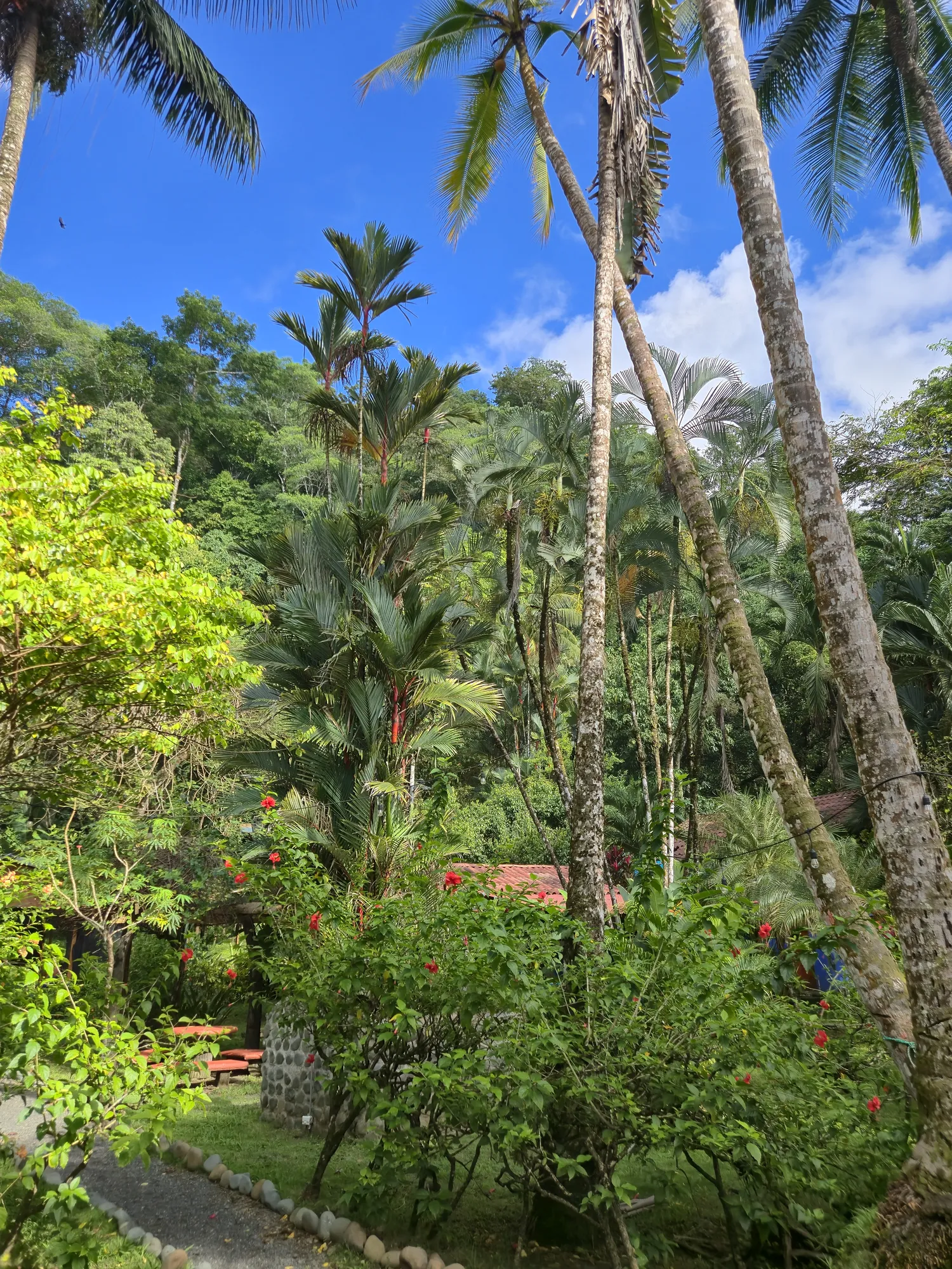 Sea Señorita Villa and the beauty of Playa Zancudo, Costa Rica