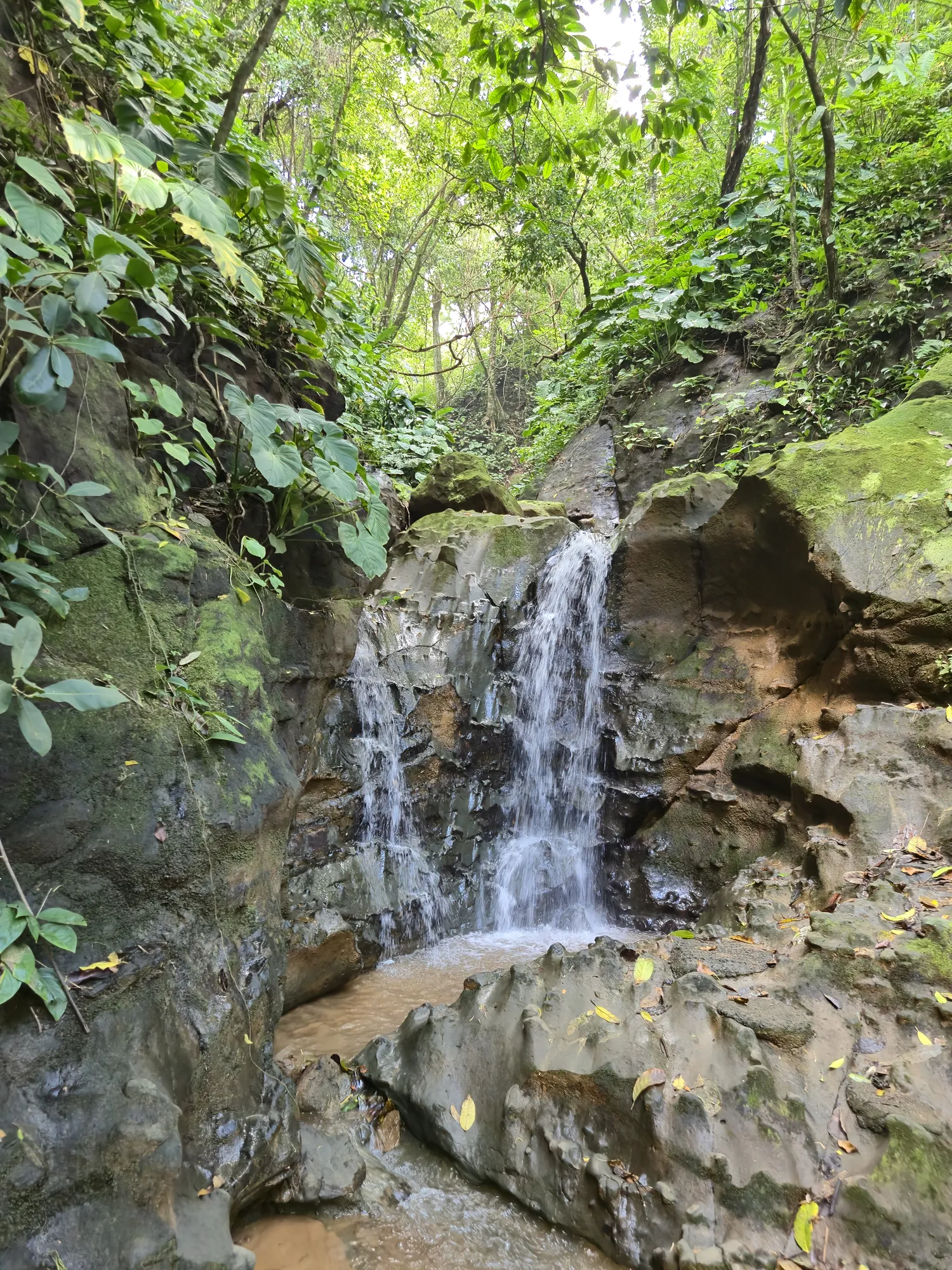 Life at Sea Señorita Villa, Playa Zancudo Costa Rica