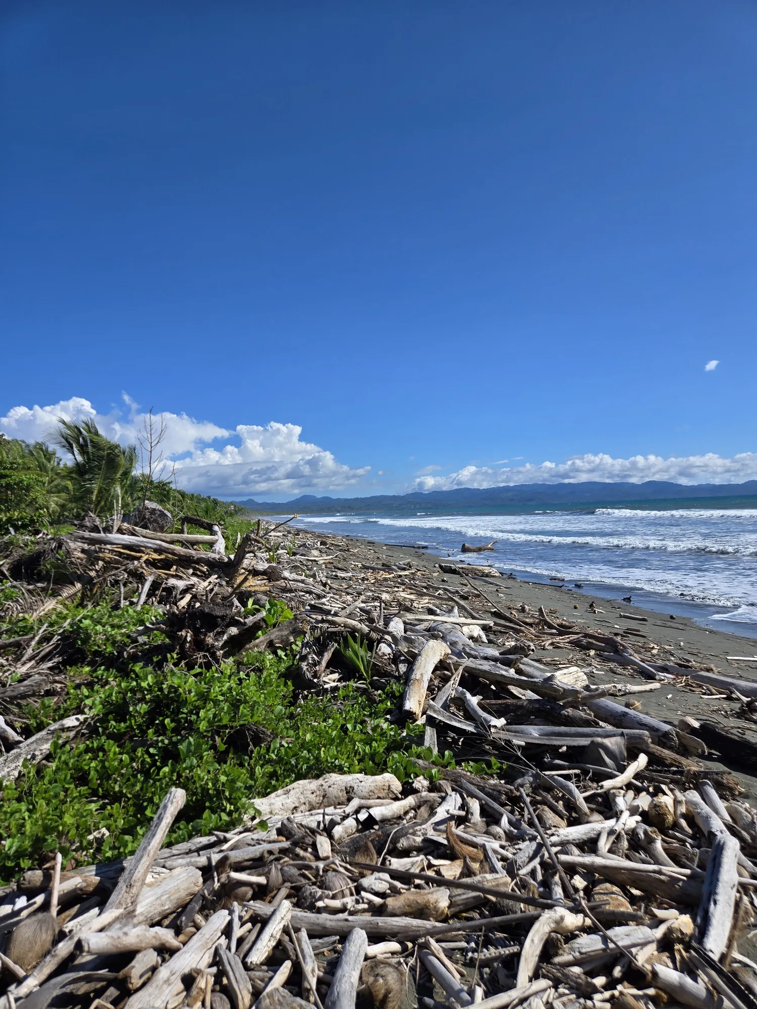 Tropical setting at Sea Señorita Villa, Playa Zancudo