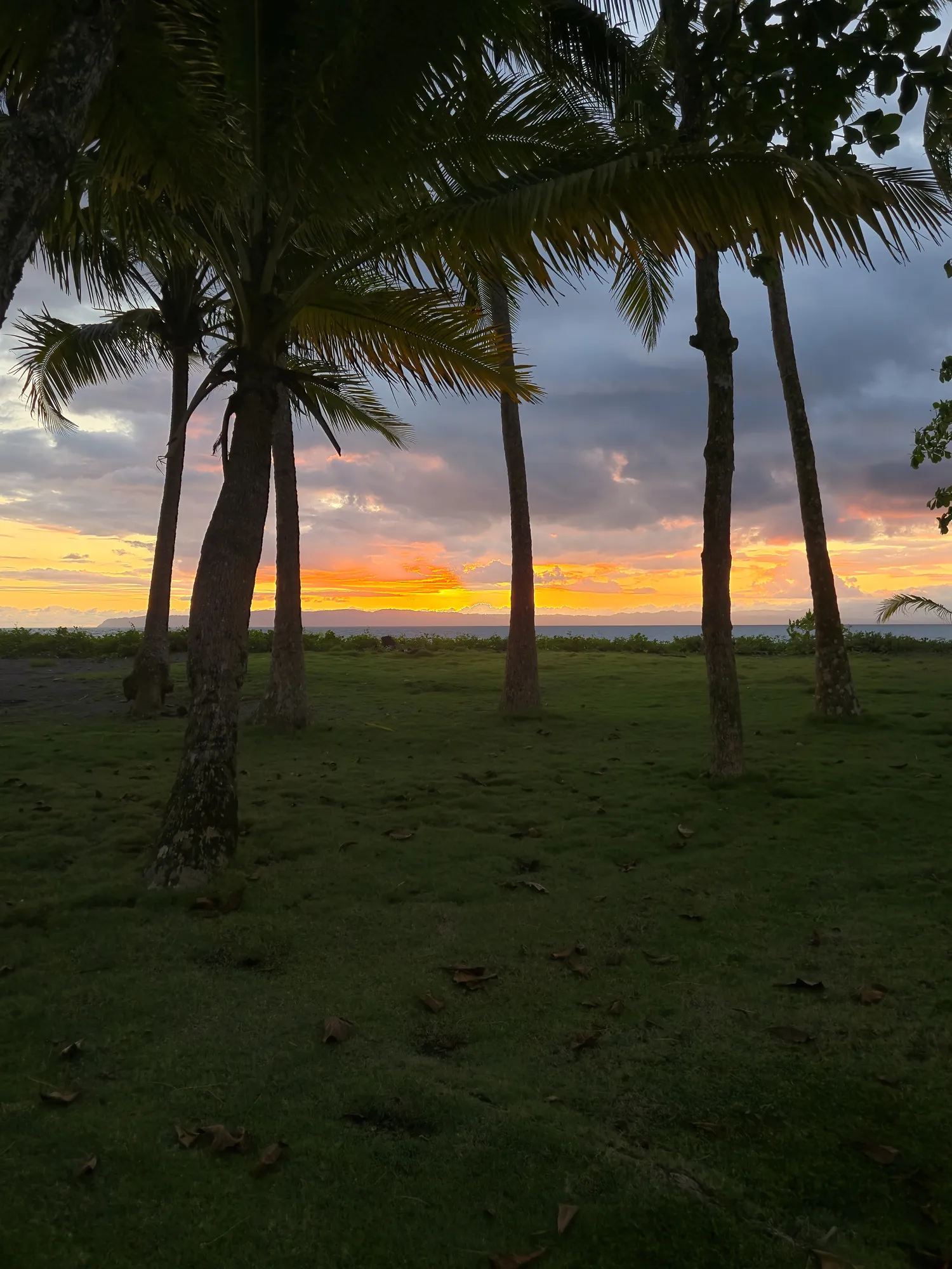 Nature and wildlife along the Golfo Dulce coastline