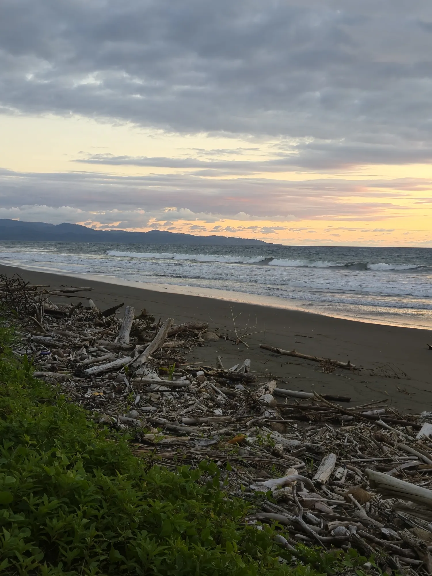 Lush tropical jungle surrounding Sea Señorita Villa, Playa Zancudo Costa Rica