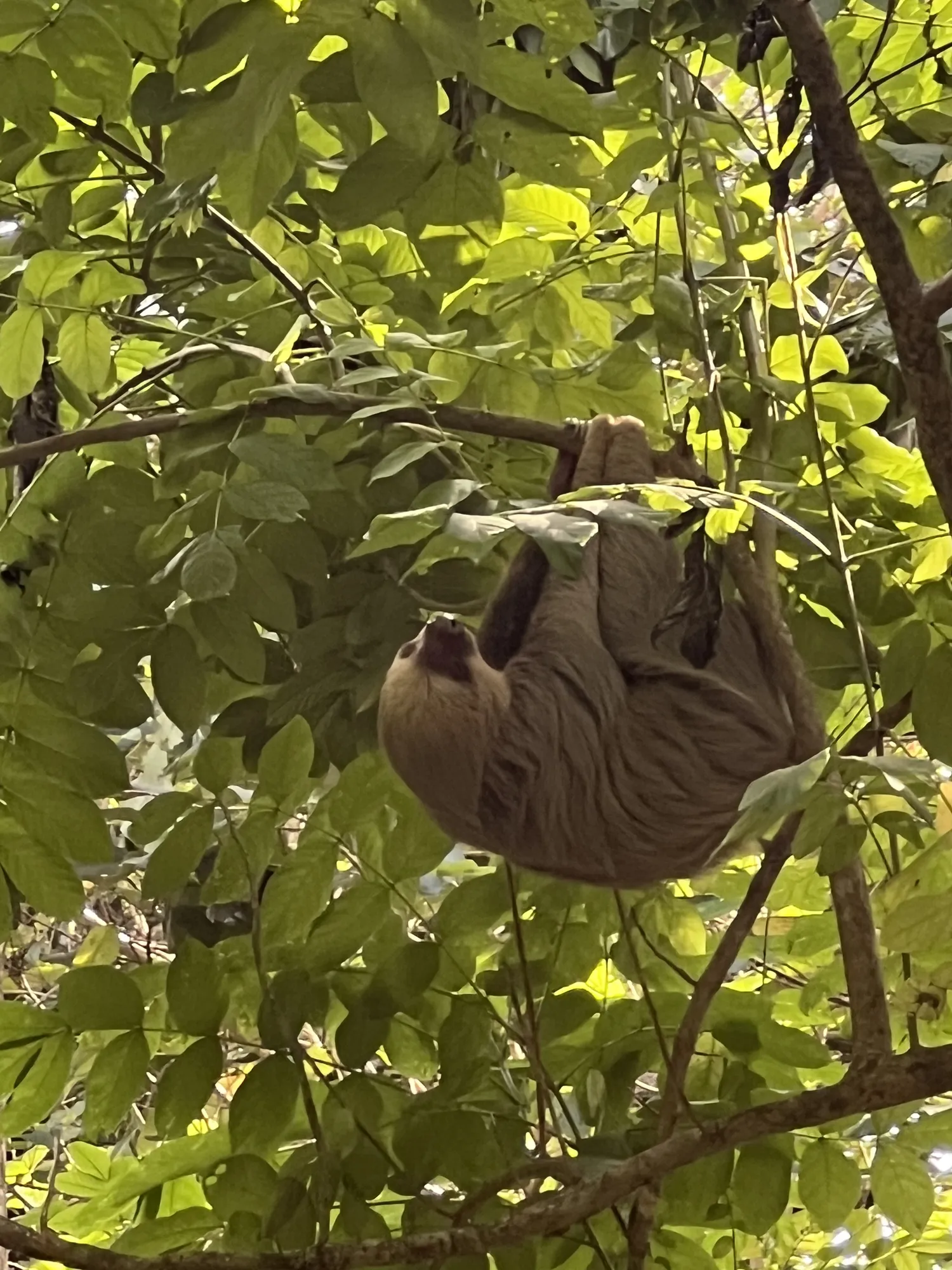 Private pool area at Sea Señorita Villa, Playa Zancudo