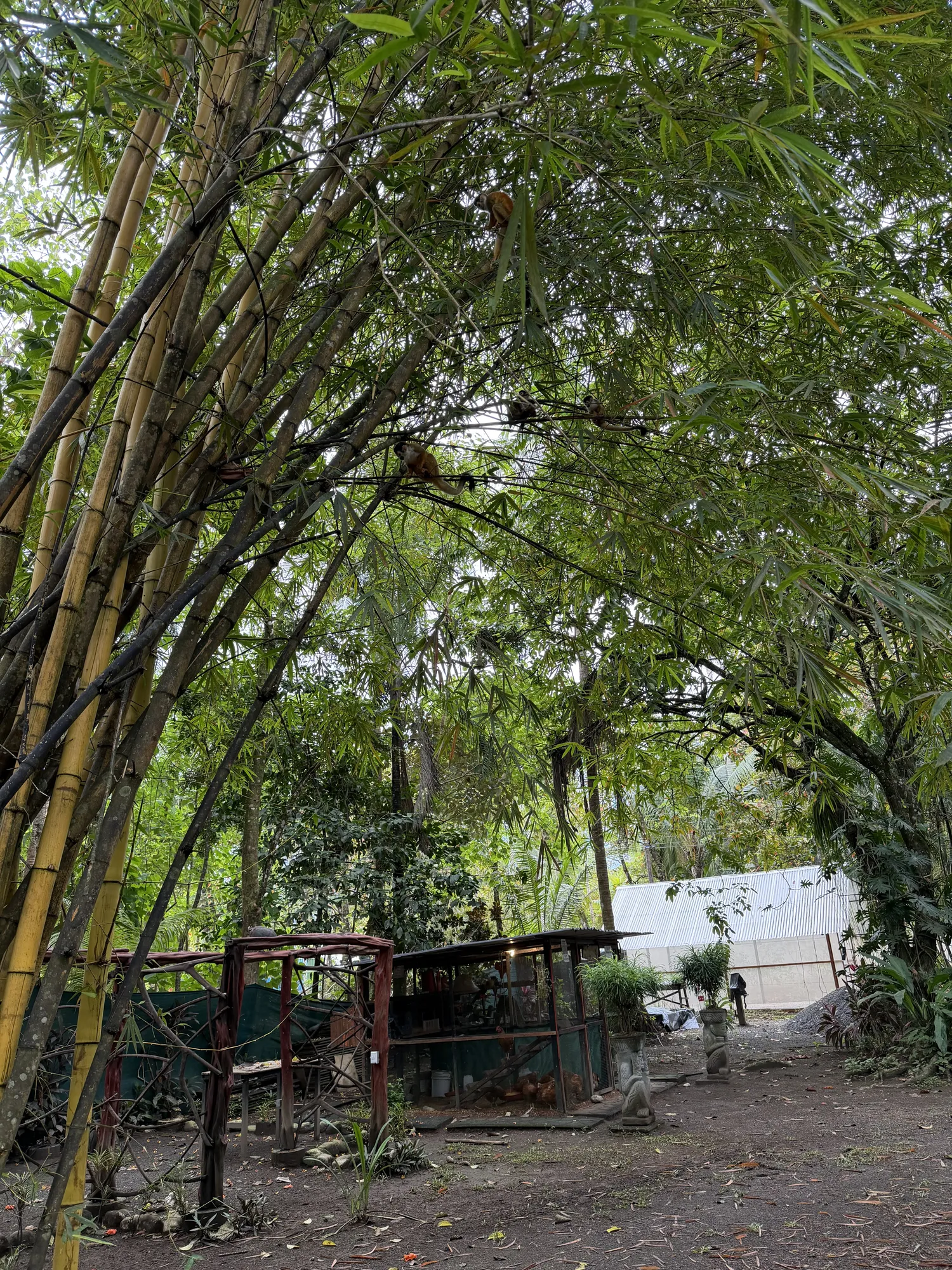 Sea Señorita Villa photo gallery — Playa Zancudo, Costa Rica