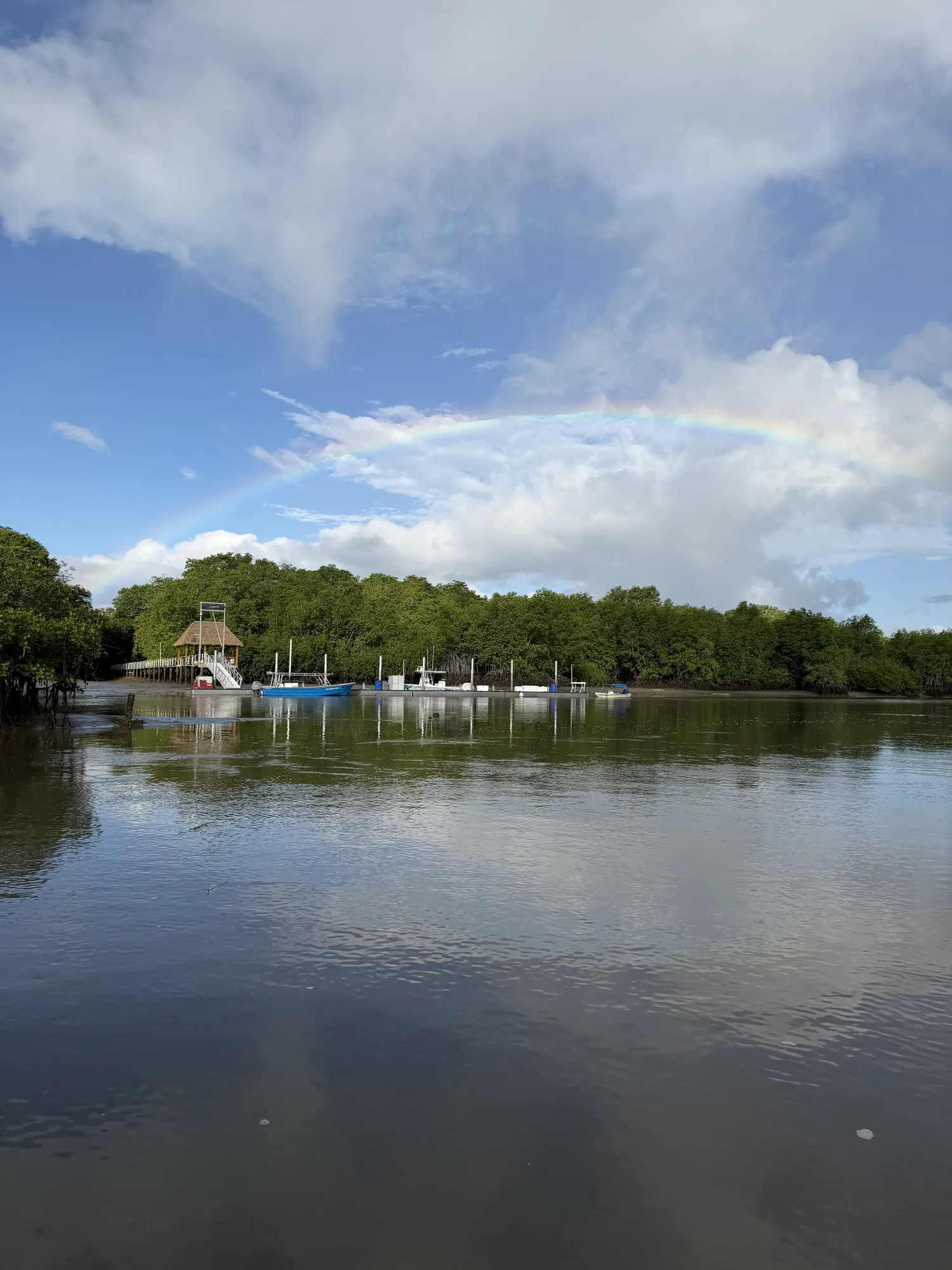 Playa Zancudo shoreline stretching along the Golfo Dulce, Costa Rica