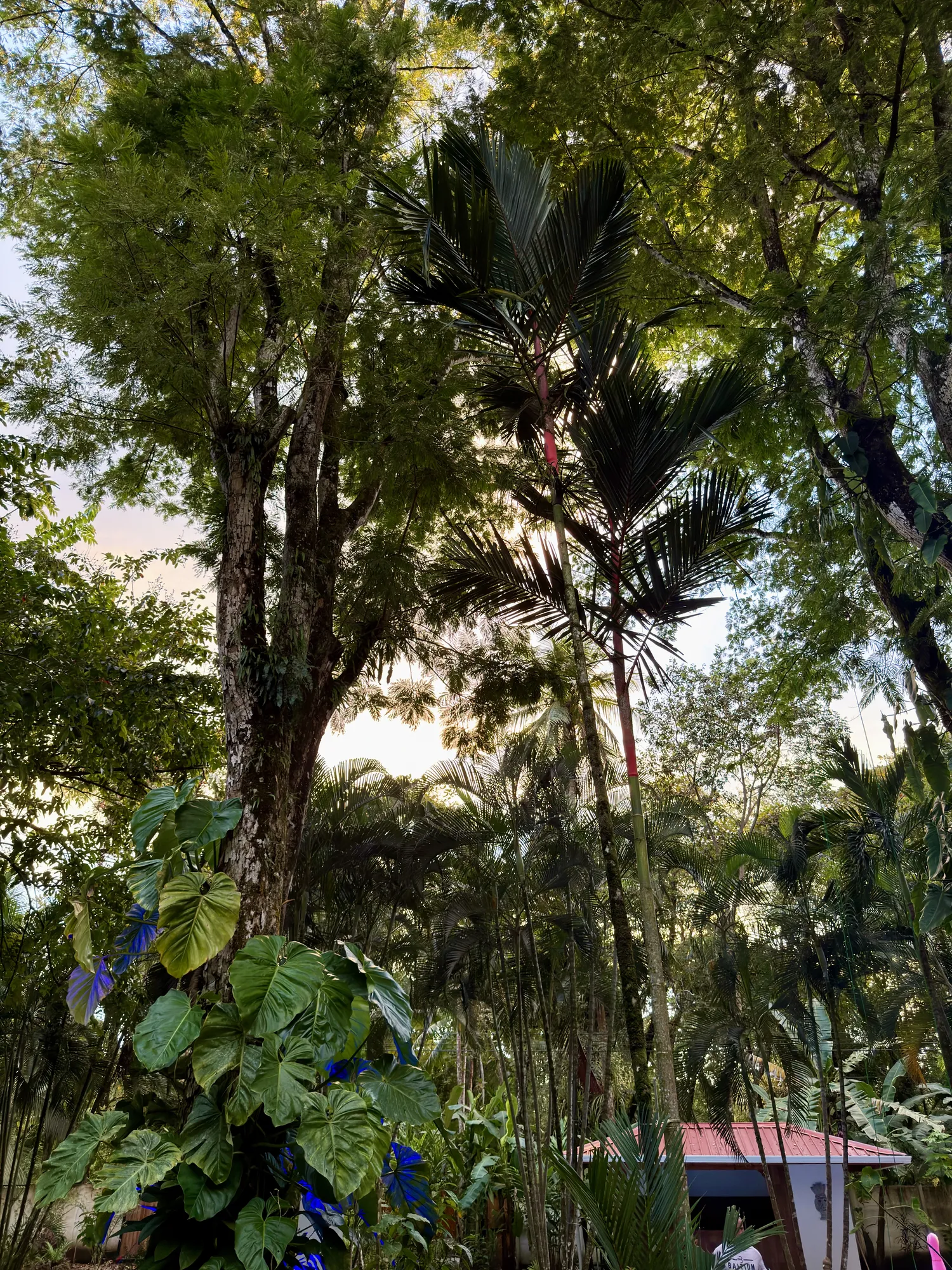 Sea Señorita Villa exterior and grounds, Playa Zancudo