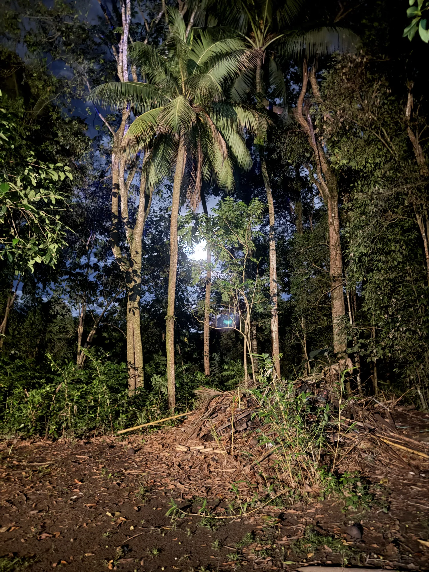 Property grounds at Sea Señorita Villa, Playa Zancudo