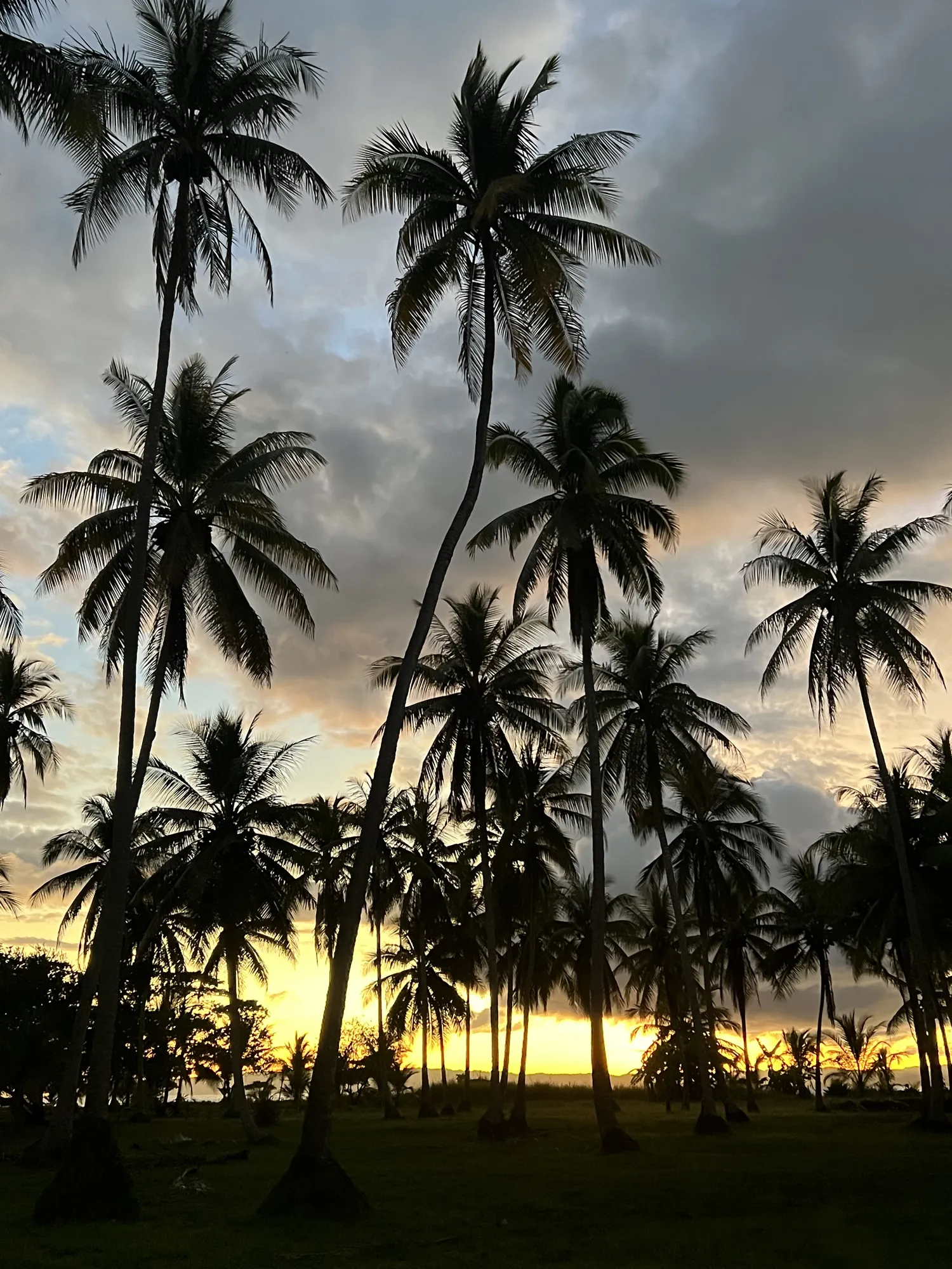 Playa Zancudo coastline
